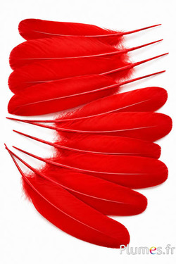 Zwaan zijde - 25-30 cm - rood
